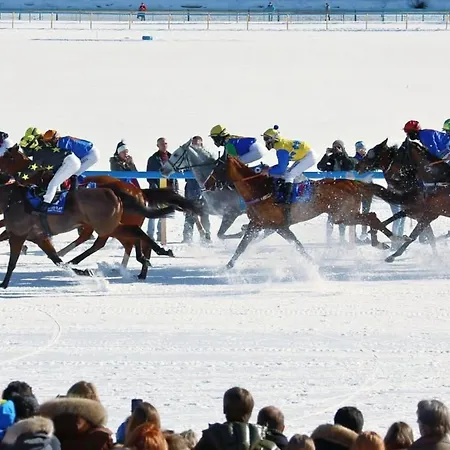 酒店 阿尔特酒店 3*